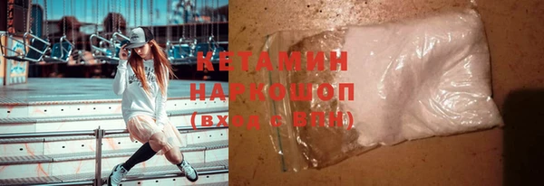 шишки Белокуриха