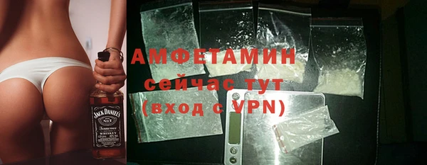 шишки Белокуриха