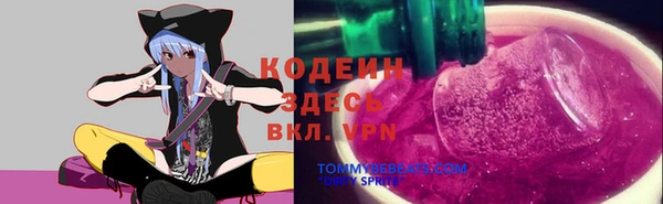 шишки Белокуриха