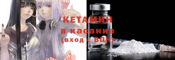 шишки Белокуриха