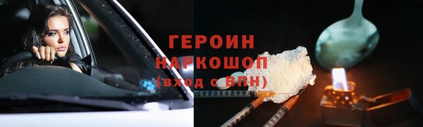шишки Белокуриха