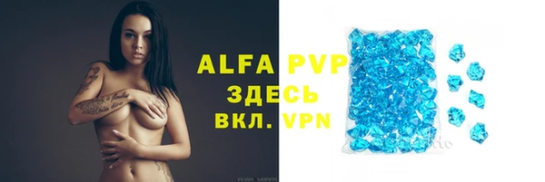 шишки Белокуриха