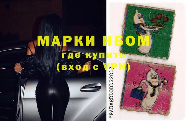 шишки Белокуриха