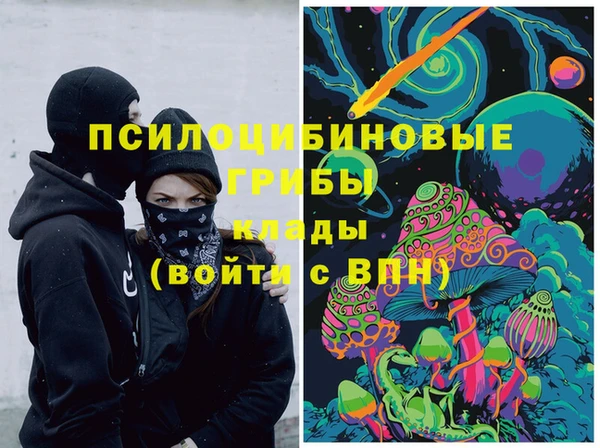 шишки Белокуриха