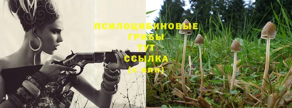эйфоретик Белоозёрский