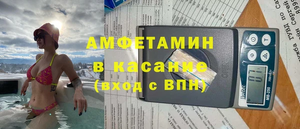 шишки Белокуриха
