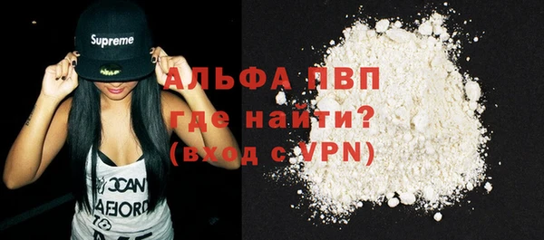 шишки Белокуриха