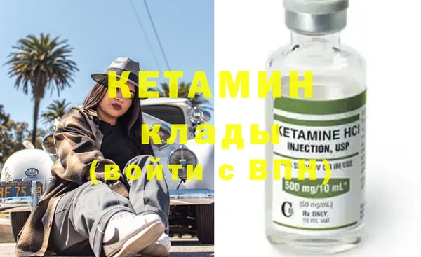 шишки Белокуриха