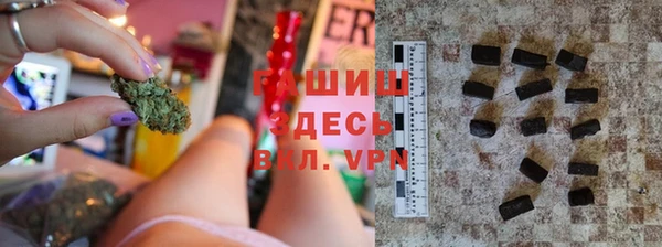 шишки Белокуриха
