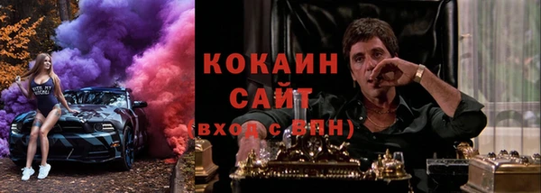 шишки Белокуриха